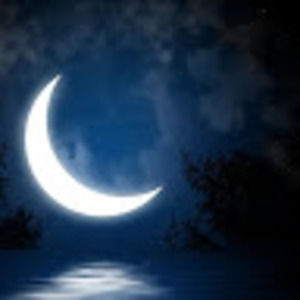 Meet your Posher, Doxie